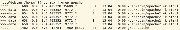 Prozesse des Apache Webservers