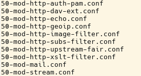 Dateien im Verzeichnis '/etc/nginx/modules-enabled'. Die Struktur ist der des Apache Webservers ähnlich.