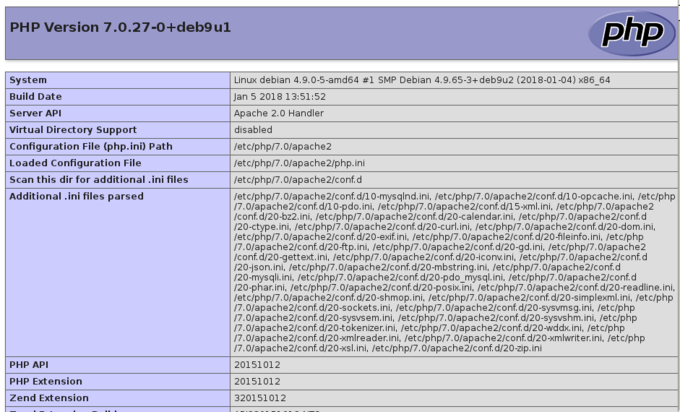 Ergebnisseite des Auslesens der Umgebungsvariablen mit PHP